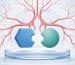 Best Peptides for Tissue Repair Research in 2026